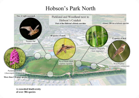 Nine Wells BioBlitz