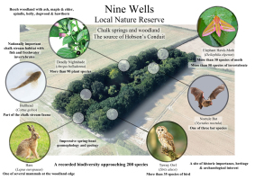 Nine Wells BioBlitz